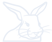 兔